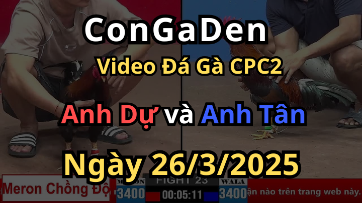 Chồng Độ 2 lụm lúa bể bồ CPC2 26/3/2025