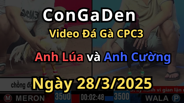 [Xổ 100] Anh Lúa chồng độ bị đá cho tắt điện CPC3 28/3/2025