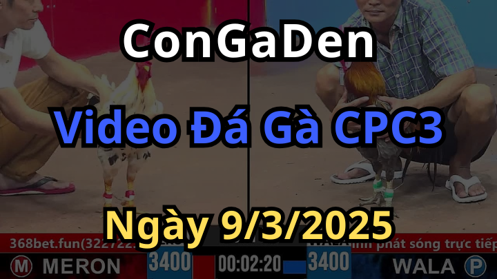 Tổng Hợp Đá Gà CPC3 Hay Nhất Hôm Nay 9/3/2025