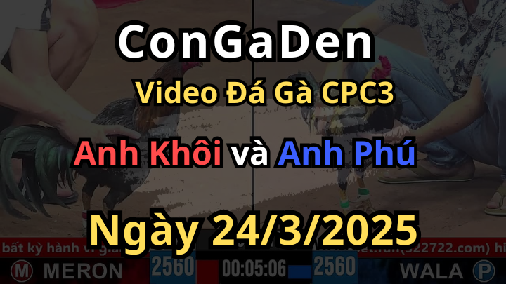 Chuối Hiệu đá như võ sĩ ghim quá thấm CPC3 24/3/2025