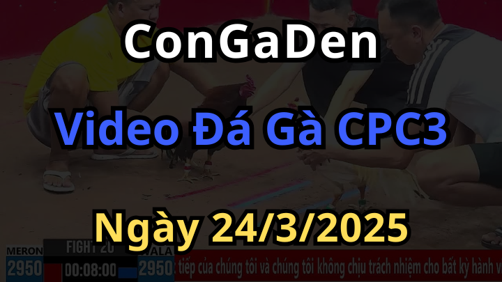 Tường thuật trực tiếp đá gà cpc3 hôm nay ngày 24/3/2025