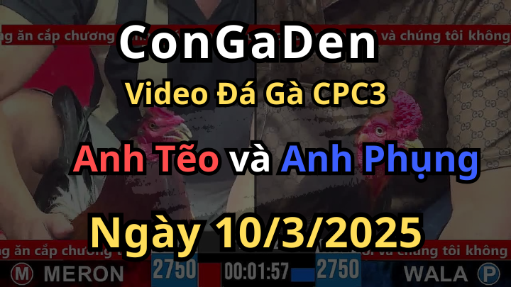 Đẳng Cấp Cứu Chủ Là Đây Đá Gà CPC3 10/3/2025