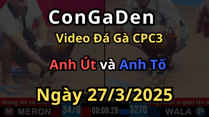 Nhỏ mà đá quá sung dí quanh bồ CPC3 ngày 27/3/2025