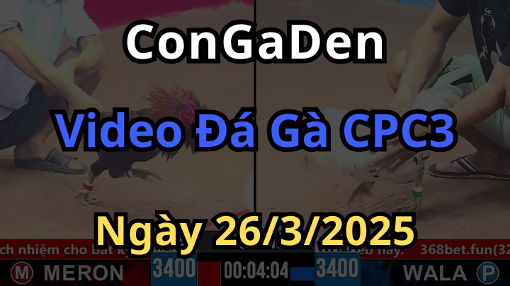 Tổng hợp video đá gà cpc3 campuchia trực tuyến ngày 26/3/2025