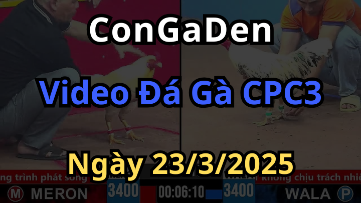 Phát lại đá gà cpc3 campuchia ngày 23/3/2025