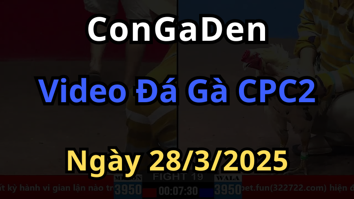Clip đá gà cpc2 ngày 28/3/2025 mới nhất hôm nay