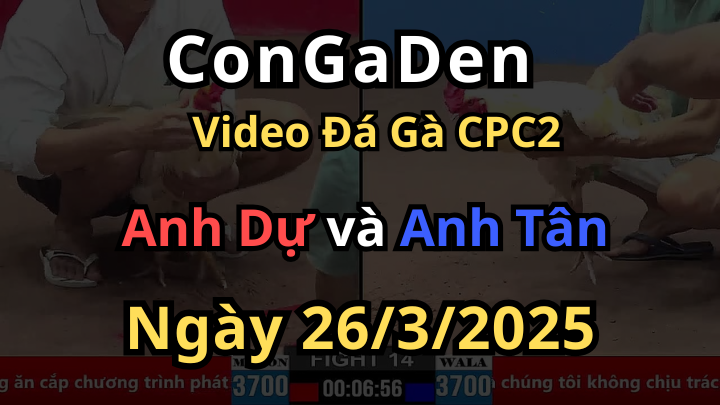 Anh Dự chấp 2 chấm và cái kết không thể ngờ CPC2 26/3/2025