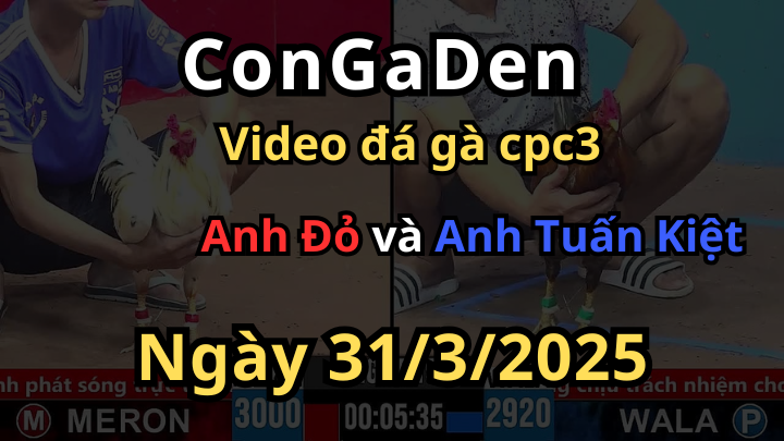 Trời Độ Cú xanh chuyến này về nghỉ hưu được rồi CPC3 ngày 31/3/2025