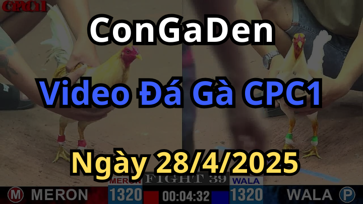 Phát lại Trực Tiếp Đá Gà Thomo CPC1 Ngày 28/4/2025 Hôm Nay