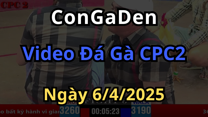 Xem đá gà thomo cpc2 hôm nay ngày 6/4/2025 cùng Congaden