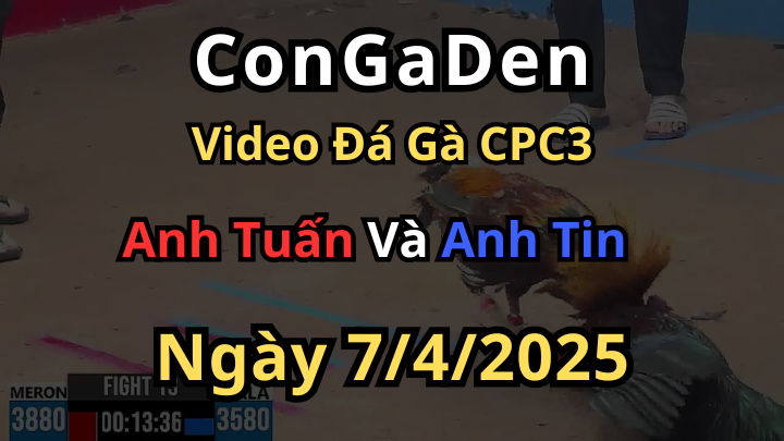 Chấp láo thì ăn quả đắng CPC3 7/4/2025