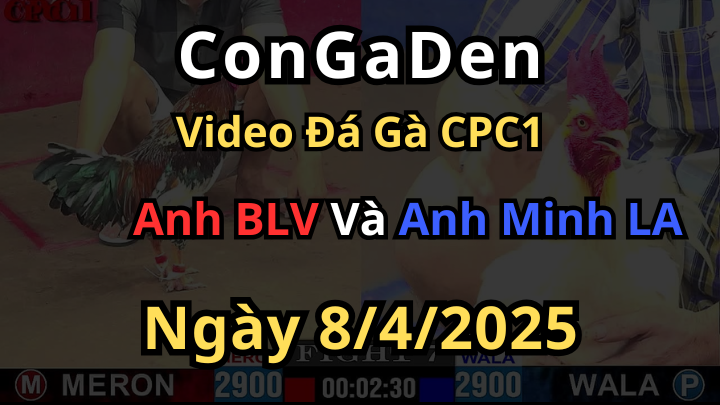 Gà má Minh phun sting như phim kiếm hiệp CPC1 8/4/2025