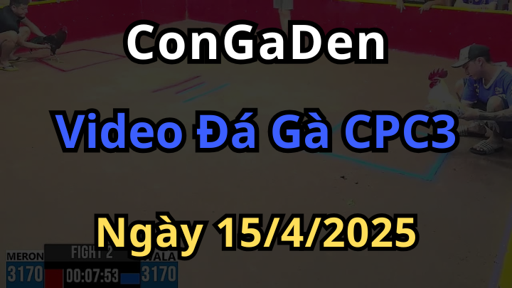 Video đá gà trực tiếp CPC3 ngày 15/4/2025 cùng Congaden