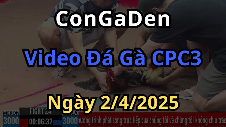 Xem đá gà cpc3 ngày 2/4/2025 mới nhất có bình luận viên
