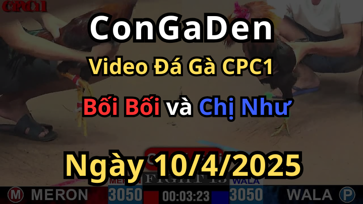 Bối Bối gặp trúng Sư tử đành ngặm ngùi CPC1 10/4/2025