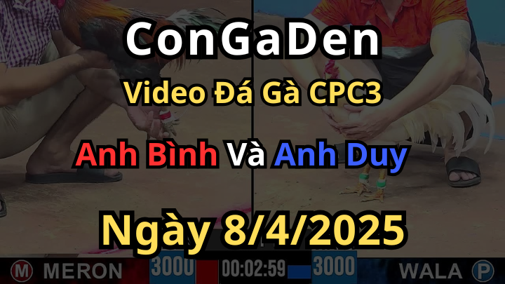 Màn lật kèo đẳng cấp đầu ngày Bồ CPC3 ngày 8/4/2025