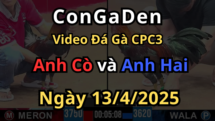 Trận gà đỉnh nóc kịch trần đầu ngày CPC3 13/4/2025