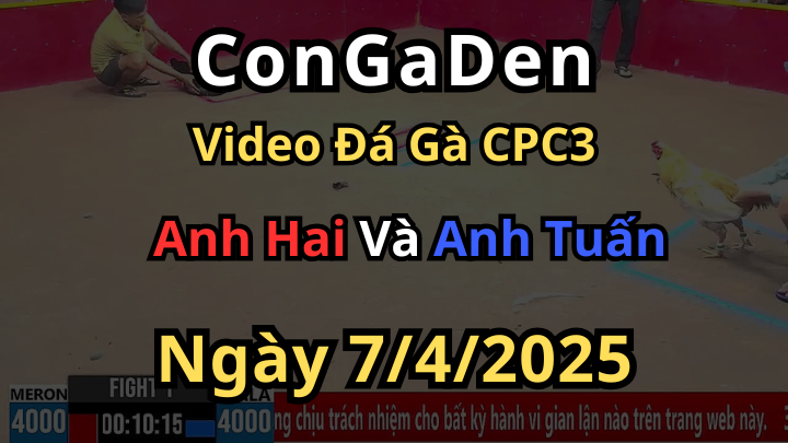 Mở bát của ngoại hạng xem đã con mắt CPC3 7/4/2025