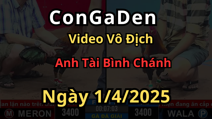 Hành trình vô địch của anh Tèo ở Giải đá gà cpc3 ngày 1/4/2025
